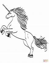 Unicorn Pictures For Coloring sketch template