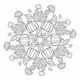 Mushroom Mandala With Spotted Mushrooms And Grass Ornate Coloring Page  sketch template