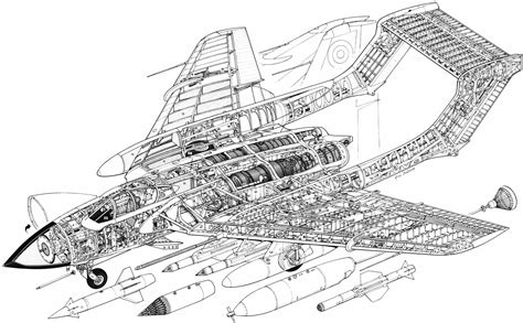 de Havilland Sea Vixen Cutaway Drawing in High quality