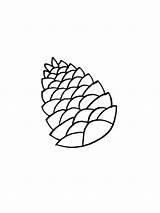 Pine Cone Coloring Pages Printable Sketch Page sketch template