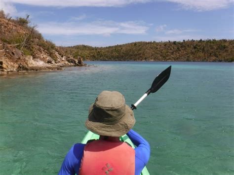 Virgin Islands Coral Reef National Monument | Raven About The Parks ...