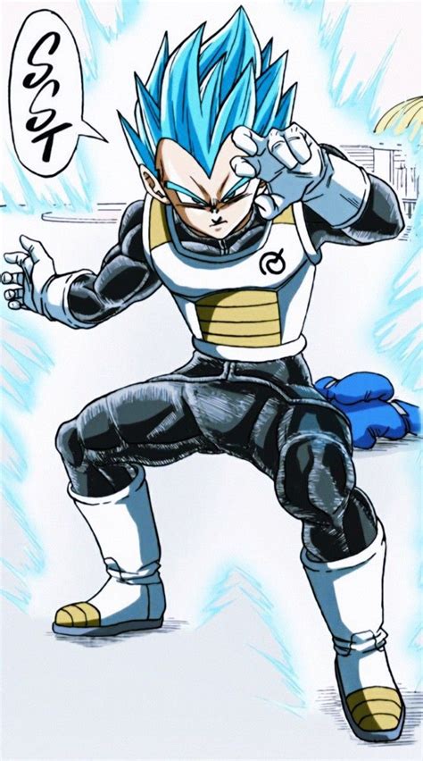 Vegeta Ssj Blue Manga | Personajes de dragon ball, Personajes de goku, Animales de anime