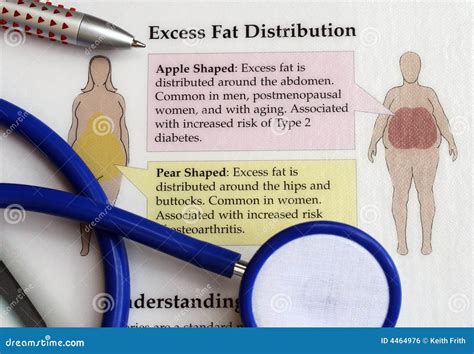 Excess fat distribution stock photo. Image of stethoscope - 4464976