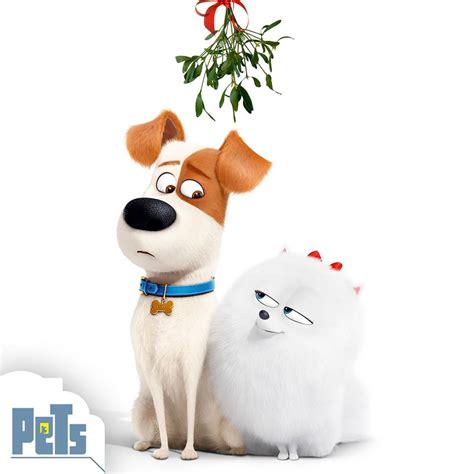Image - Max and gidget christmas.jpg | The Secret Life of Pets Wiki | FANDOM powered by Wikia