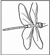 Free Printable Dragonfly Coloring Pages For Kids  Animal Place sketch template