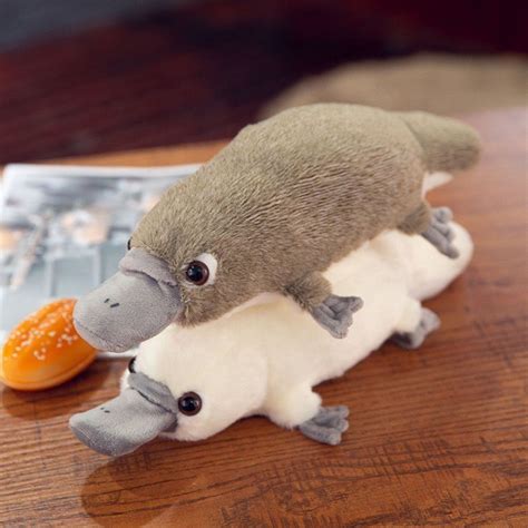 Baby platypus stuffed animal pattern - Hoploop