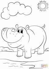 Hippopotamus Coloring Page  Team sketch template