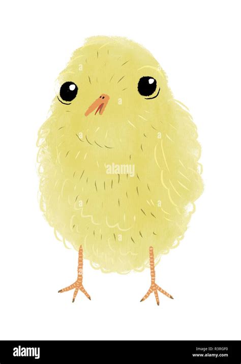 cute hand drawn yellow chick illustration Stock Photo - Alamy