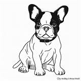 French Bulldog Printable Coloring Pages  Free & sketch template