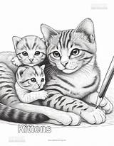 Kittens Coloring Page  Super Fun sketch template