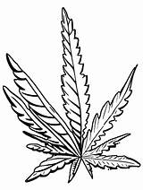 Marijuana Coloring Page · Creative Fabrica sketch template