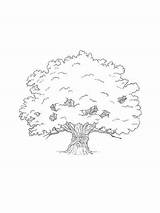 Oak coloring pages sketch template