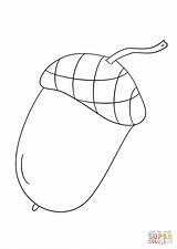 Fall Acorn coloring page  Free Printable Coloring Pages sketch template