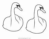 Two Beautiful Swan Coloring Page For Kids  Free Swans And Geese sketch template