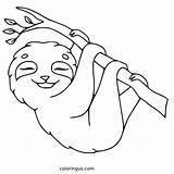 Sloth Number Color Coloring Pages Preschool Kids Animal Activities Woo  sketch template