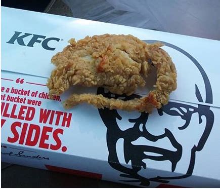 California: Claims KFC customer found 'deep fried rat' in his meal as photo goes viral