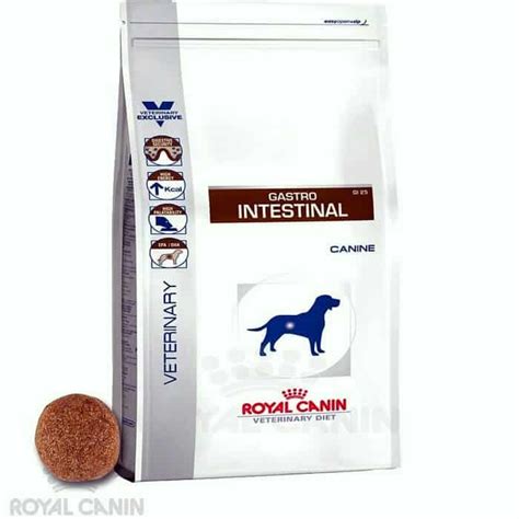 Royal Canin Gastrointestinal Dog Food - PetsWall