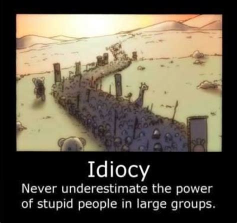 Idiocy - Meme Guy