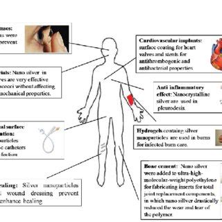 Biomedical applications of silver nanoparticles. | Download Scientific Diagram