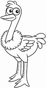 Cute cartoon Poultry Wings Animal ostrich For coloring 10838146 PNG sketch template