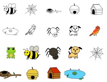 Animals and Their Homes Clip Art and worksheet Bundle by Monique Premne