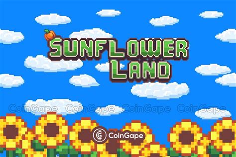 Explain Sunflower Land: How Do You Verify Sunflower Land? | LaptrinhX / News