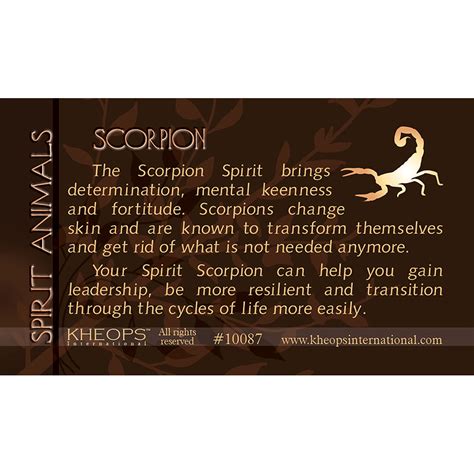 Spirit Animal Info Card Scorpion (Each): Kheops International