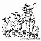 Shepherd And Sheep Coloring Pages  Free & Printable sketch template