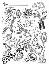 Intro To Biology Coloring Page By We Teach High School  TPT sketch template