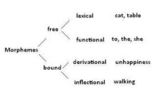 Morphology - Teaching Linguistics and English Language Learners