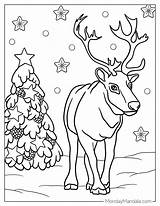 42 Reindeer Coloring Pages Free PDF Printables sketch template