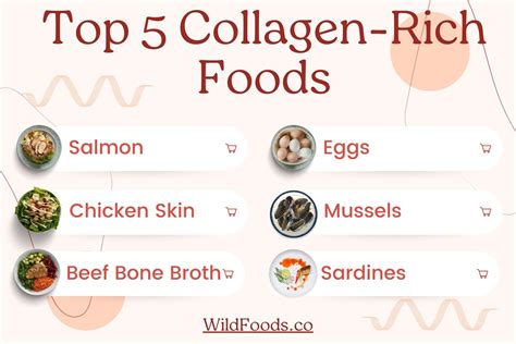 The Top Collagen Rich Foods You Should Eat