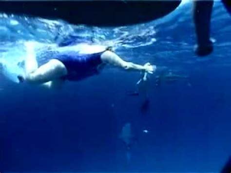 Bahamas shark possible "attack" (or Encounter) on a woman - YouTube