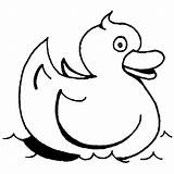 Rubber ducky Swimming coloring Page – Artofit sketch template