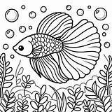 Underwater Guppy Coloring Page  4 Free Printable Pages sketch template