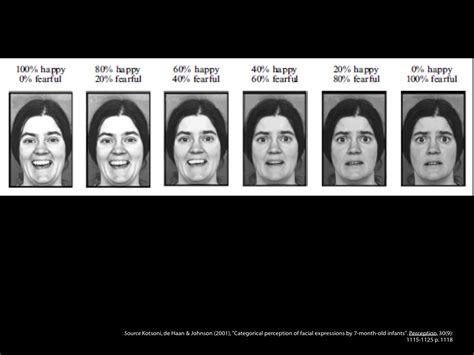 Categorical Perception & Emotion | Social Cognition