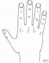 Hand coloring Page  Free Printable Coloring Pages sketch template