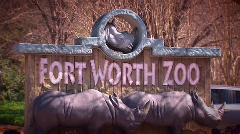 Fort Worth Zoo Receives Certified Autism Center Designation – NBC 5 ...