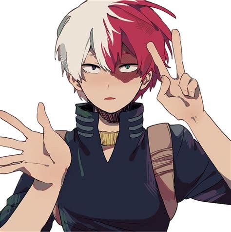 Download Todoroki Shoto Shouto Todorokishouto Todorokishoto - My Boku No Hero Academia Todoroki ...