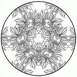 Sunflower Mandala Coloring Pages  sketch template