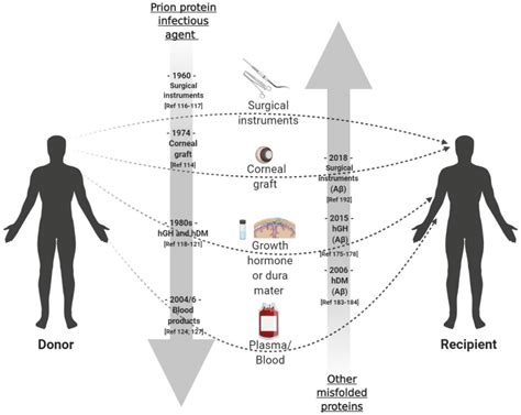 Biomolecules | Free Full-Text | Prion Diseases: A Unique Transmissible ...