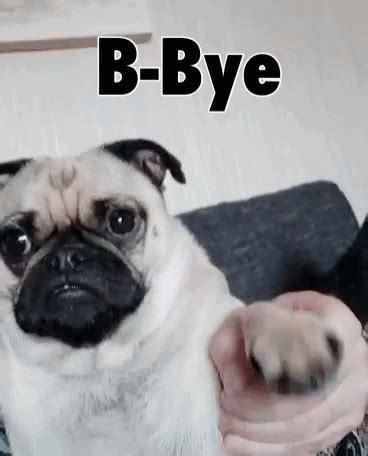 Waving Goodbye Meme