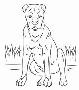 Boxer Dog coloring Page  ColouringPages sketch template