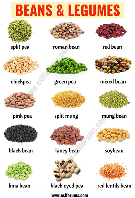 Types of Beans: 15 Different Types of Beans & Legumes with the Picture - ESL Forums