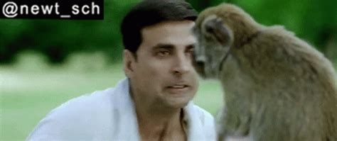 Housefull2010 Akshay Kumar Fight With Monkey GIF - Housefull2010 Akshay Kumar Fight With Monkey ...