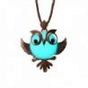 Owl Glowing Necklace Alloy Jewelry Blue Green Color 33 Inches Christmas Gift - CB127NFS4KT