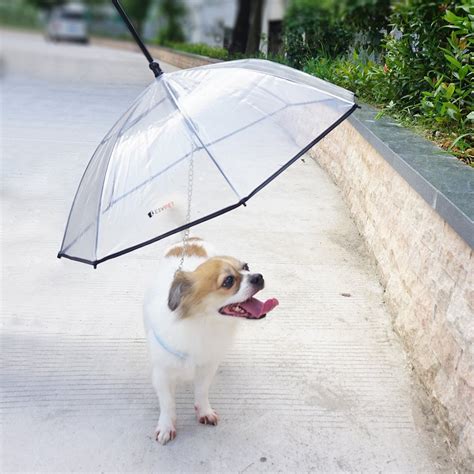 LESYPET Pet Umbrella Dog Umbrella With Leash, Fits 20" Pet's Back ...