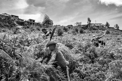 Colombia: Photographing the Last Days of FARC | Time.com