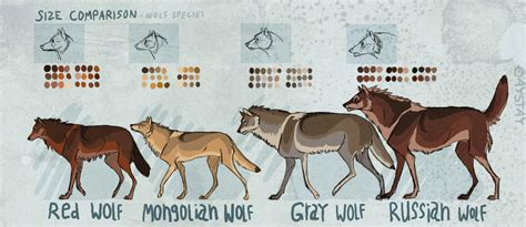 Size comparison by AYSTAY on DeviantArt