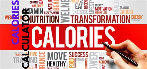 Calories Calculator: Why You Need It and How to Use It